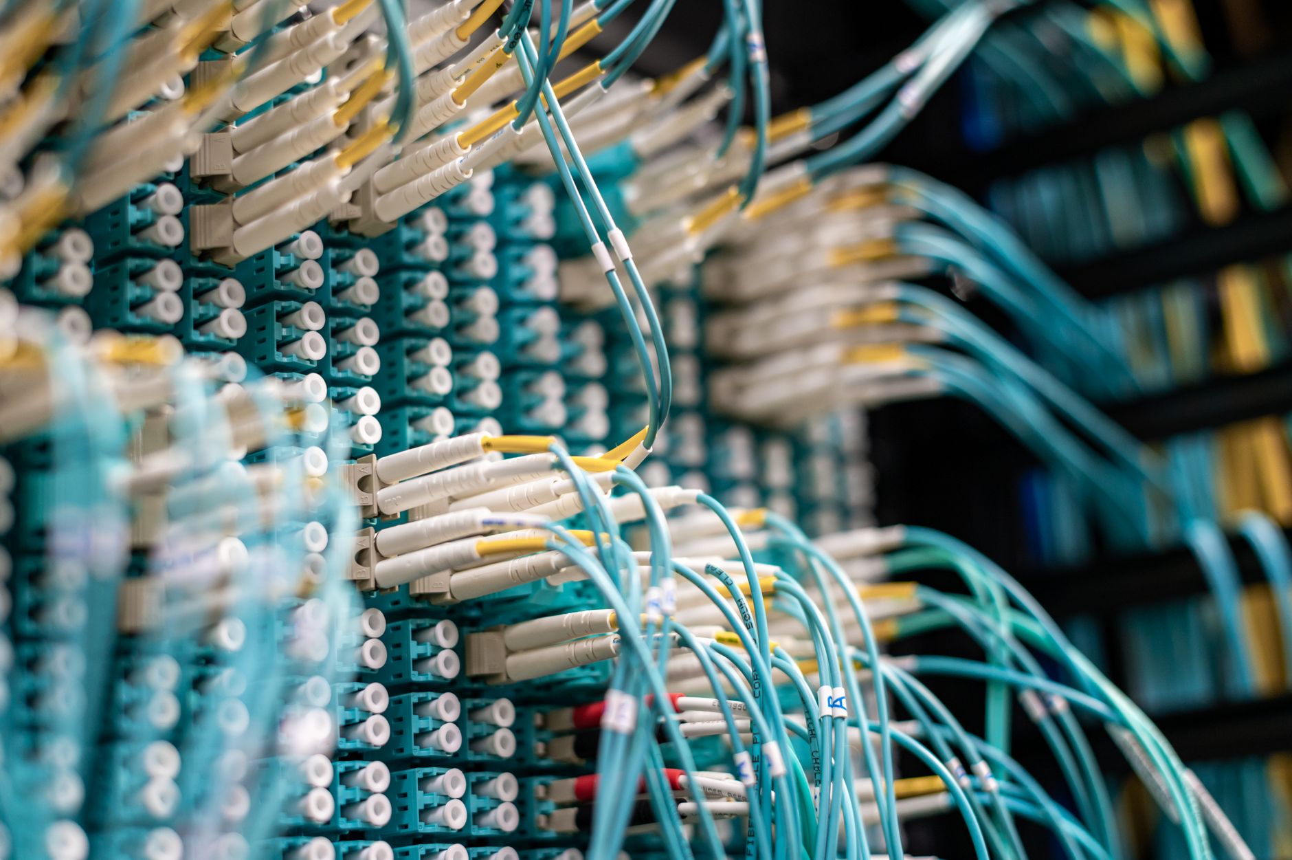 Patchpanel med netværkskabler